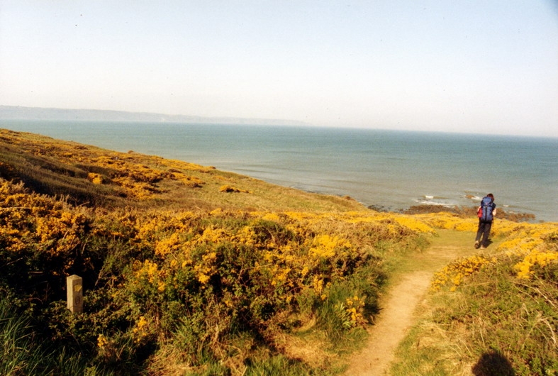 08 Ginster + Meer.jpg